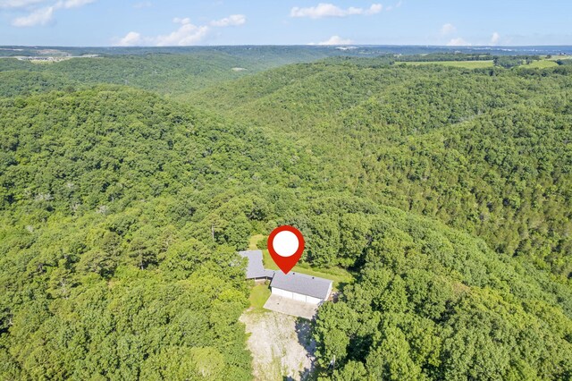 904 Arnold Rd, Hollister, MO 65672 - photo 4