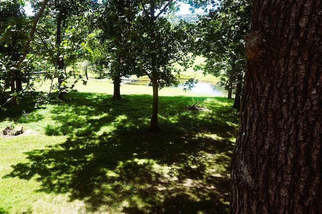 1350 Pointe Royale Dr, Branson, MO 65616 - view of green lawn featuring a water view