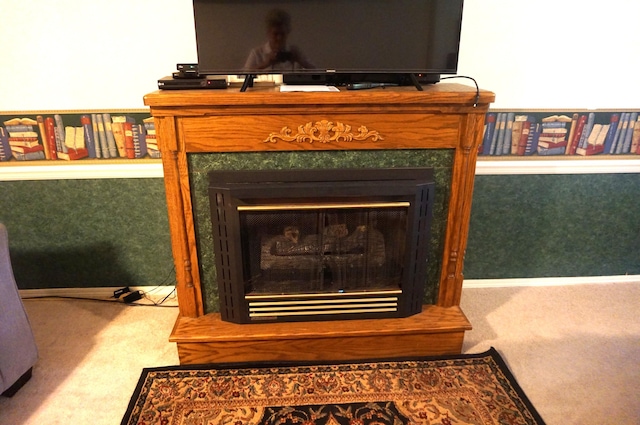 1350 Pointe Royale Dr, Branson, MO 65616 - detailed view of carpet flooring
