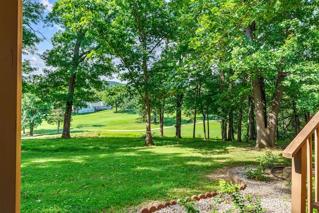 1350 Pointe Royale Dr, Branson, MO 65616 - photo 44