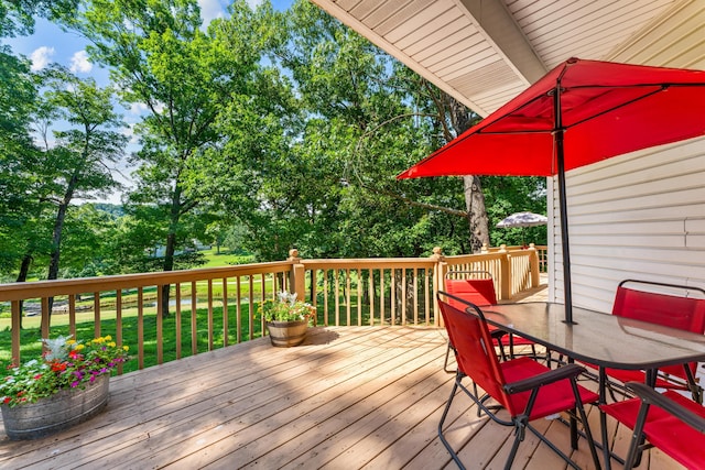 1350 Pointe Royale Dr, Branson, MO 65616 - photo 42