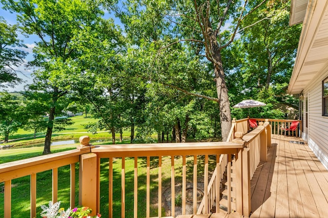 1350 Pointe Royale Dr, Branson, MO 65616 - photo 43
