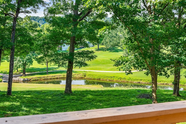 1350 Pointe Royale Dr, Branson, MO 65616 - photo 46