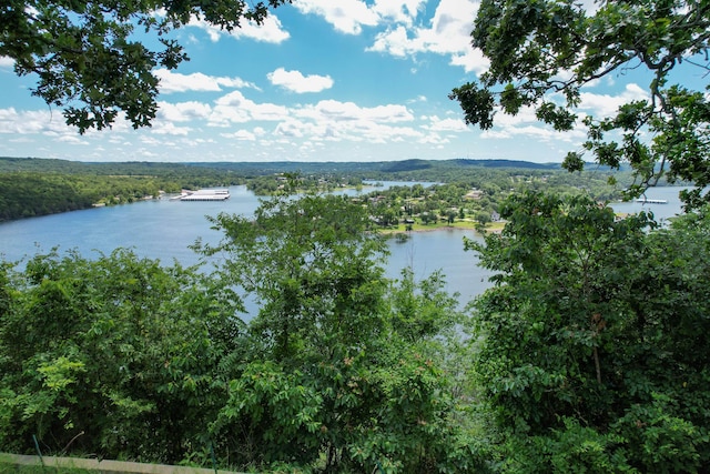 730 Peebles Point Rd, Cape Fair, MO 65624 - water view featuring a forest