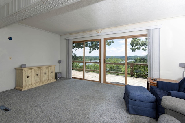 730 Peebles Point Rd, Cape Fair, MO 65624 - living room with healthy amount of natural light and carpet flooring