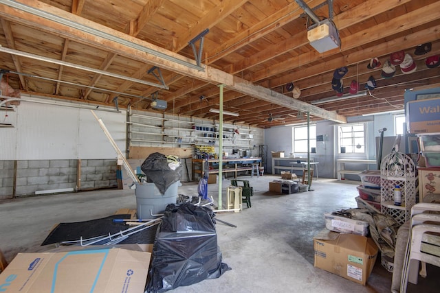 730 Peebles Point Rd, Cape Fair, MO 65624 - garage with a garage door opener