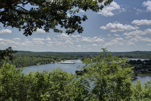 730 Peebles Point Rd, Cape Fair, MO 65624 - water view with a forest