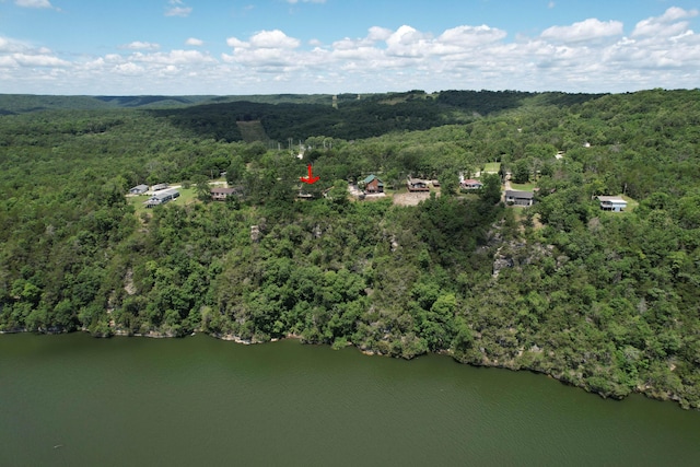 730 Peebles Point Rd, Cape Fair, MO 65624 - aerial view of property and surrounding area with a forest and a nearby body of water