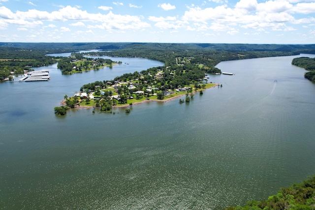 730 Peebles Point Rd, Cape Fair, MO 65624 - aerial view of a nearby body of water and a heavily wooded area