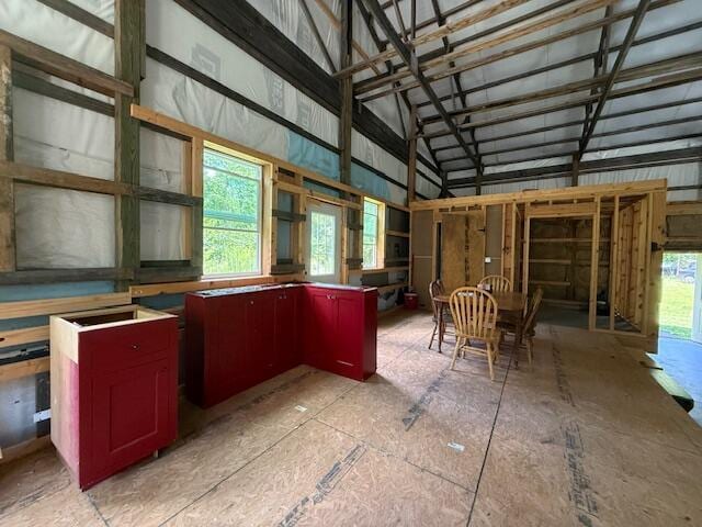 890 Bluebird Ln, Sparta, MO 65753 - miscellaneous room with vaulted ceiling and healthy amount of natural light