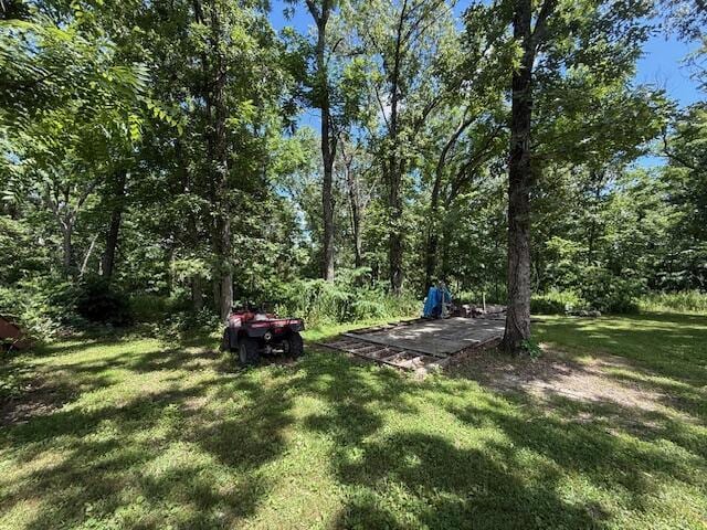 890 Bluebird Ln, Sparta, MO 65753 - view of grassy yard