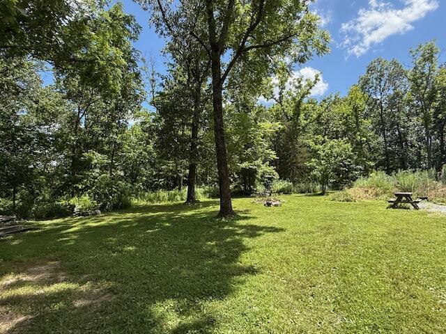 890 Bluebird Ln, Sparta, MO 65753 - view of green lawn