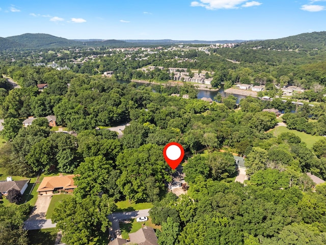 167 Eagle Valley Ct, Hollister, MO 65672 - view of property location with a forest and a water and mountain view