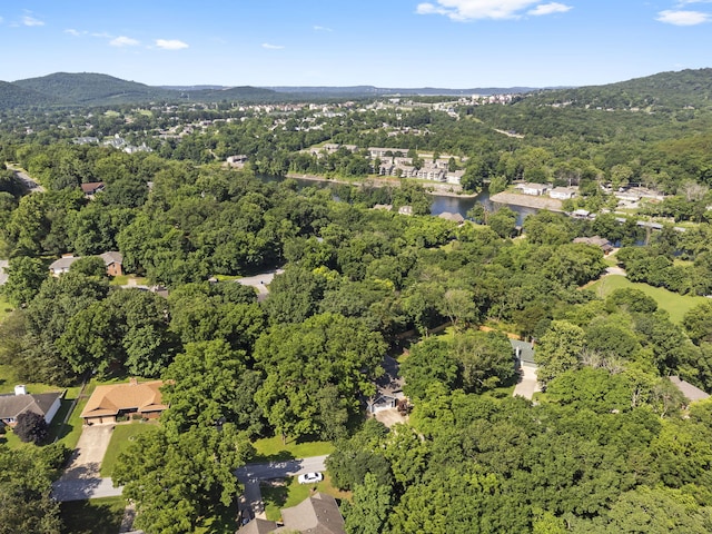 167 Eagle Valley Ct, Hollister, MO 65672 - aerial view of property and surrounding area featuring a forest and a water and mountain view