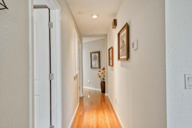 29 Trail Ridge Dr, Kimberling City, MO 65686 - corridor featuring light wood-style floors and baseboards