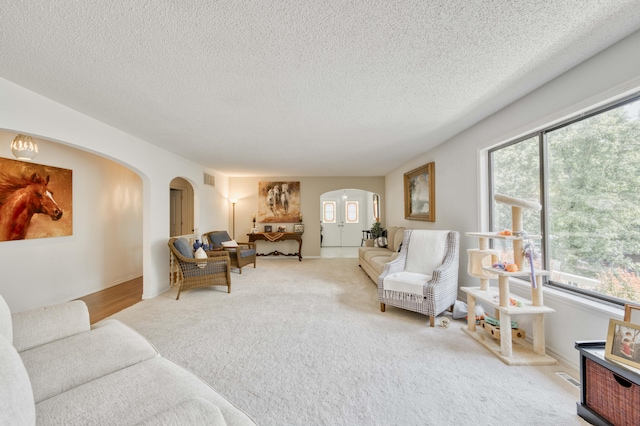 29 Trail Ridge Dr, Kimberling City, MO 65686 - carpeted living area featuring arched walkways, healthy amount of natural light, and a textured ceiling