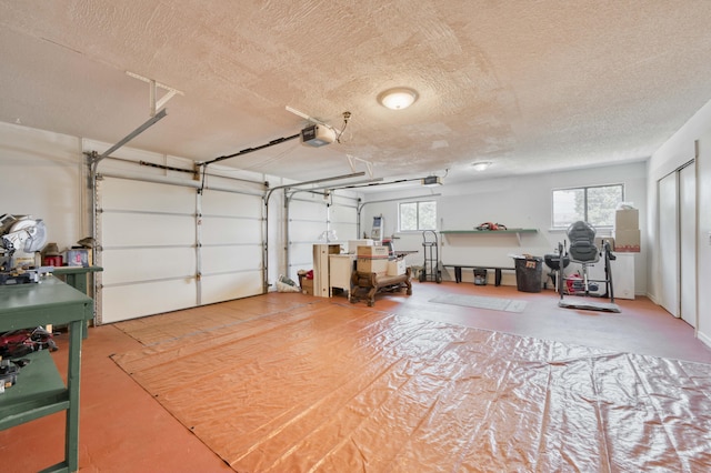 29 Trail Ridge Dr, Kimberling City, MO 65686 - garage featuring a garage door opener