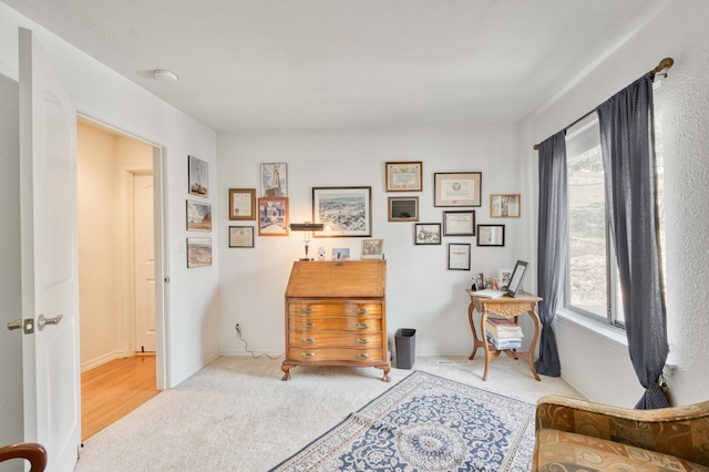29 Trail Ridge Dr, Kimberling City, MO 65686 - sitting room featuring plenty of natural light and carpet