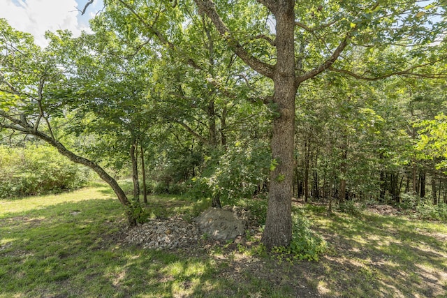 29 Trail Ridge Dr, Kimberling City, MO 65686 - view of tree filled area