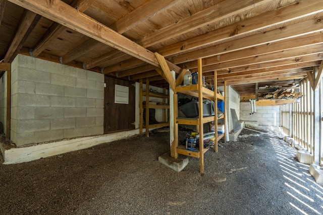 29 Trail Ridge Dr, Kimberling City, MO 65686 - below grade area featuring concrete block wall
