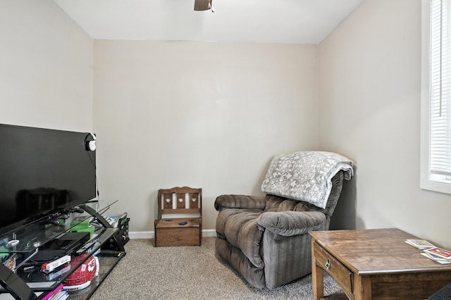 1515 Hilldale Dr, Neosho, MO 64850 - photo 21