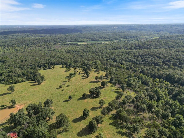 001 County Road 243, Wheatland, MO 65779 - photo 6