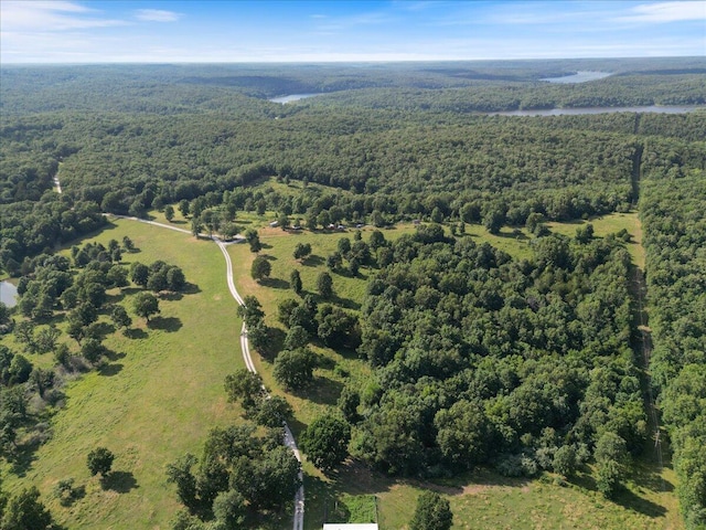 001 County Road 243, Wheatland, MO 65779 - photo 7