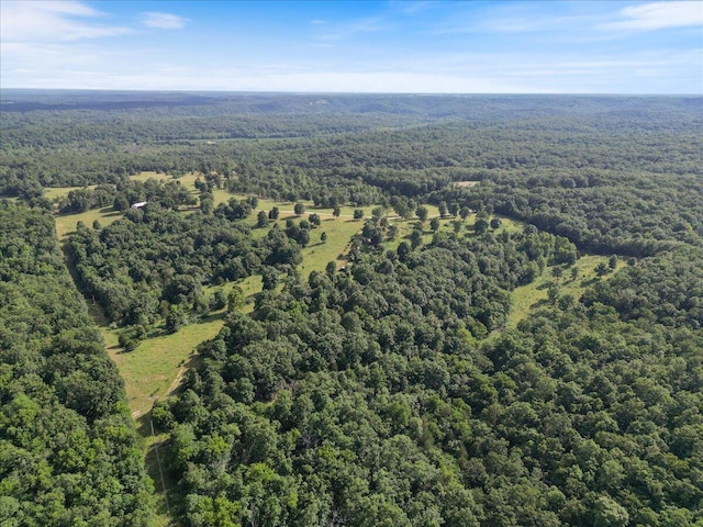 001 County Road 243, Wheatland, MO 65779 - photo 4
