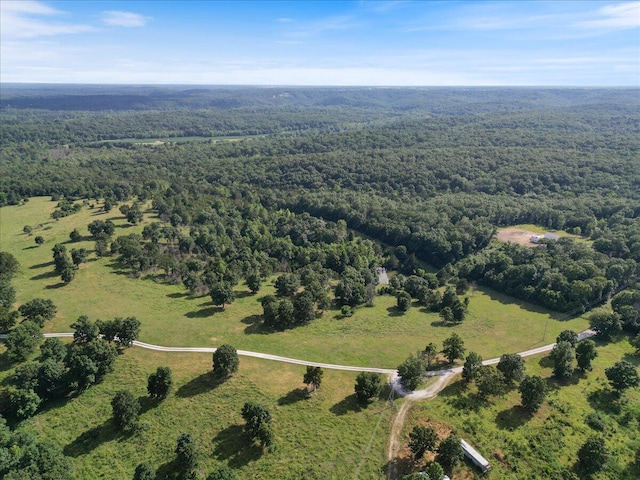 001 County Road 243, Wheatland, MO 65779 - photo 5
