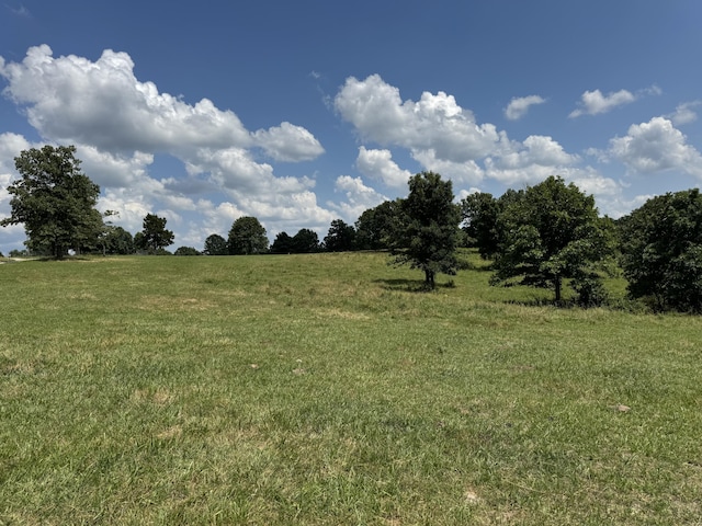 001 County Road 243, Wheatland, MO 65779 - photo 16