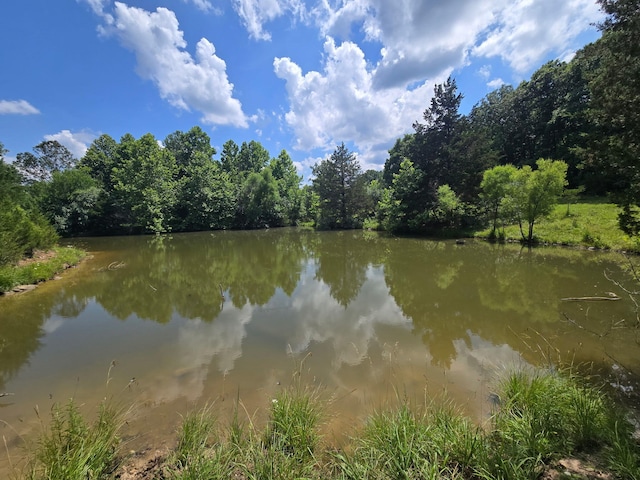 001 County Road 243, Wheatland, MO 65779 - photo 18