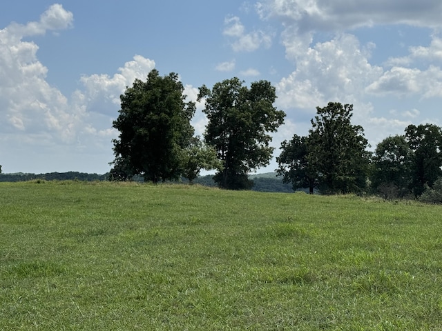 001 County Road 243, Wheatland, MO 65779 - photo 14