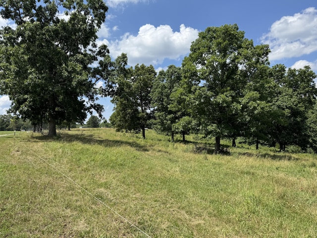 001 County Road 243, Wheatland, MO 65779 - photo 17