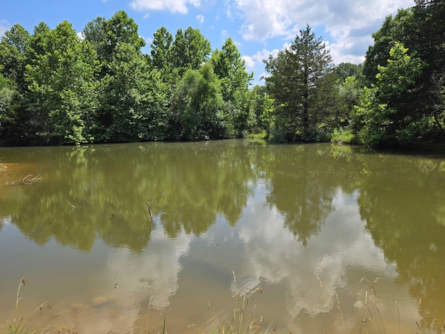 001 County Road 243, Wheatland, MO 65779 - photo 19