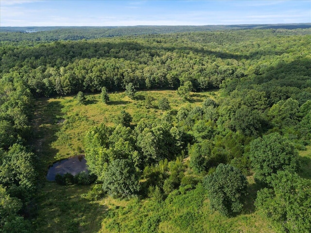 001 County Road 243, Wheatland, MO 65779 - photo 11