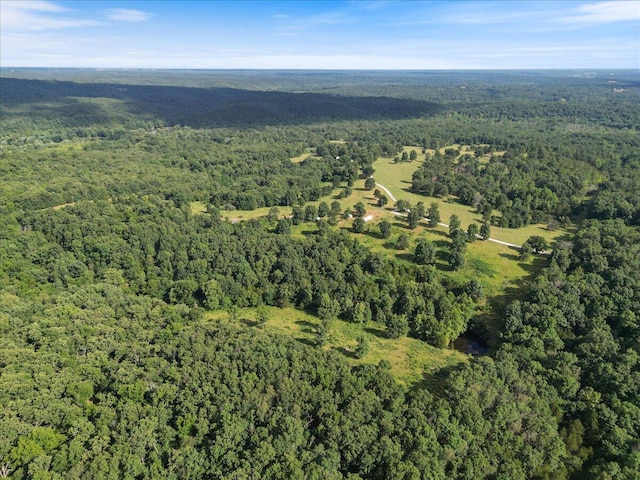 001 County Road 243, Wheatland, MO 65779 - photo 2