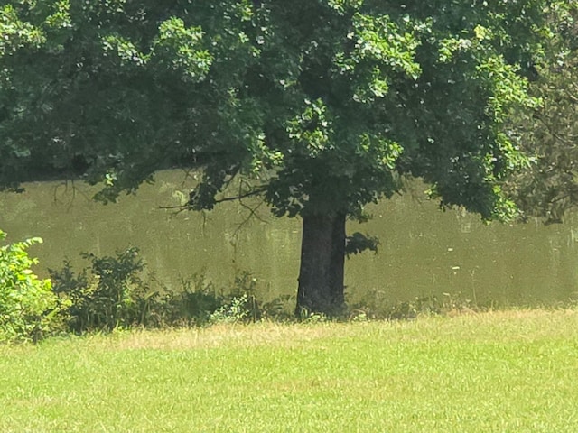 001 County Road 243, Wheatland, MO 65779 - photo 21