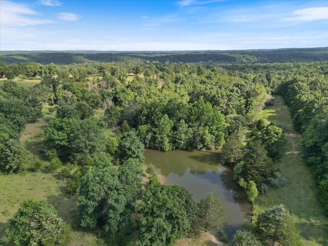 001 County Road 243, Wheatland, MO 65779 - photo 1