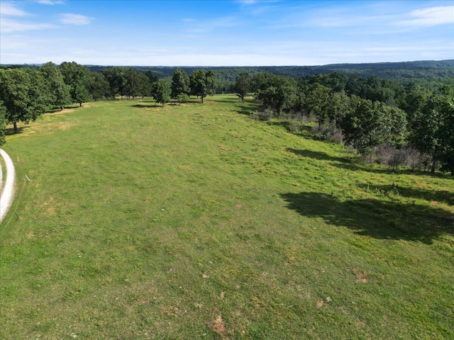 001 County Road 243, Wheatland, MO 65779 - photo 10