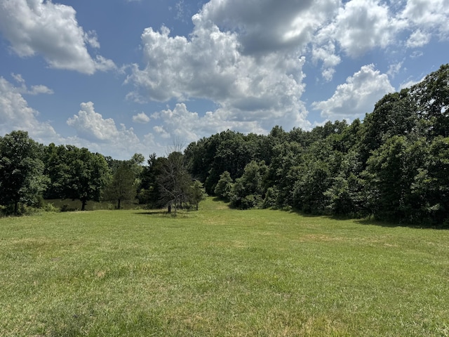 001 County Road 243, Wheatland, MO 65779 - photo 15