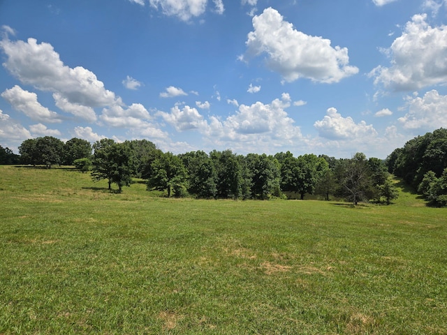 001 County Road 243, Wheatland, MO 65779 - photo 22