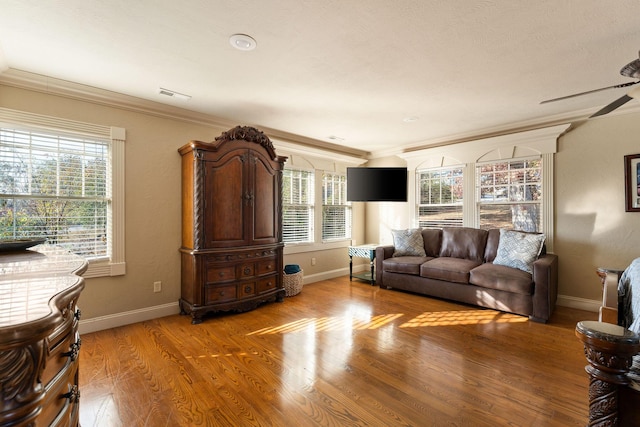 120 N 4th St, Branson, MO 65616 - living area with plenty of natural light, crown molding, light wood-style floors, and a ceiling fan