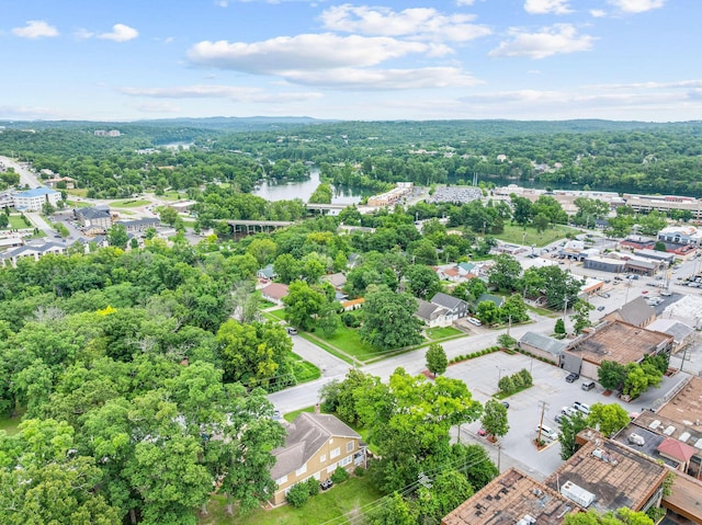 120 N 4th St, Branson, MO 65616 - bird's eye view