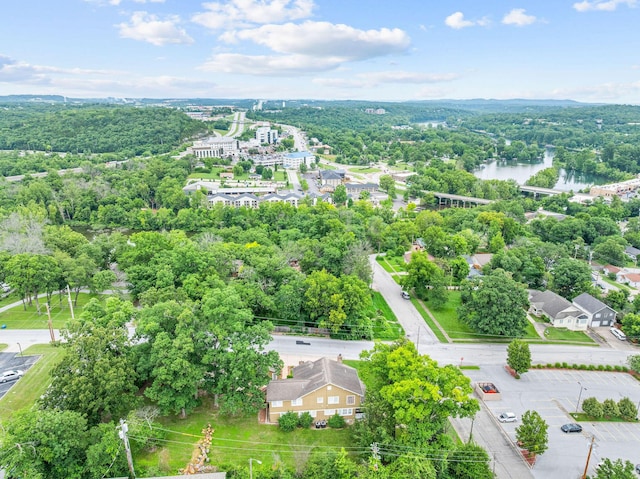 120 N 4th St, Branson, MO 65616 - drone / aerial view