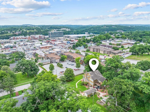 120 N 4th St, Branson, MO 65616 - bird's eye view