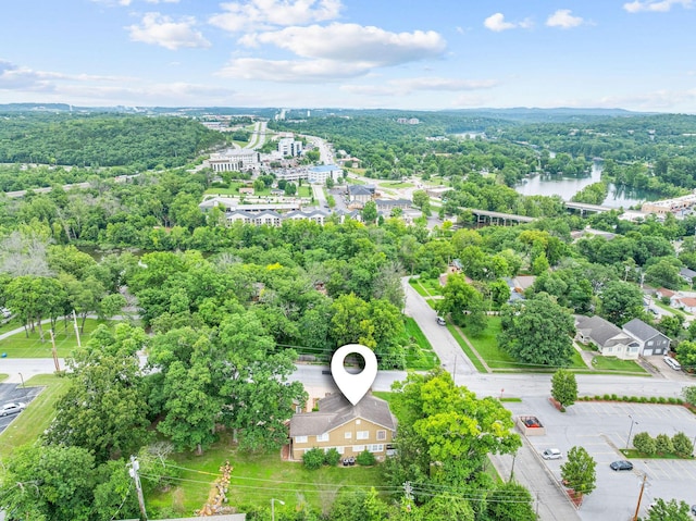 120 N 4th St, Branson, MO 65616 - aerial view