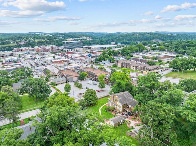 120 N 4th St, Branson, MO 65616 - bird's eye view