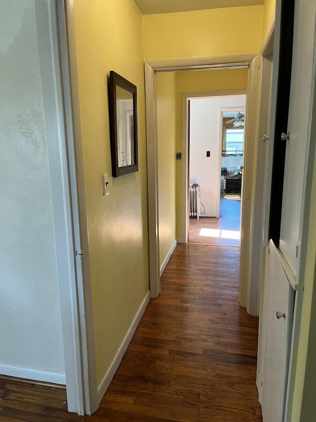 424 W Park St, Seymour, MO 65746 - corridor with dark wood-style floors and baseboards