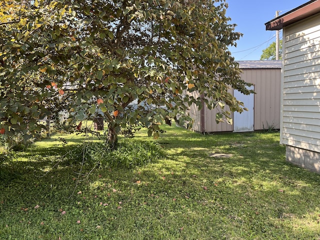 424 W Park St, Seymour, MO 65746 - view of green lawn with a storage unit
