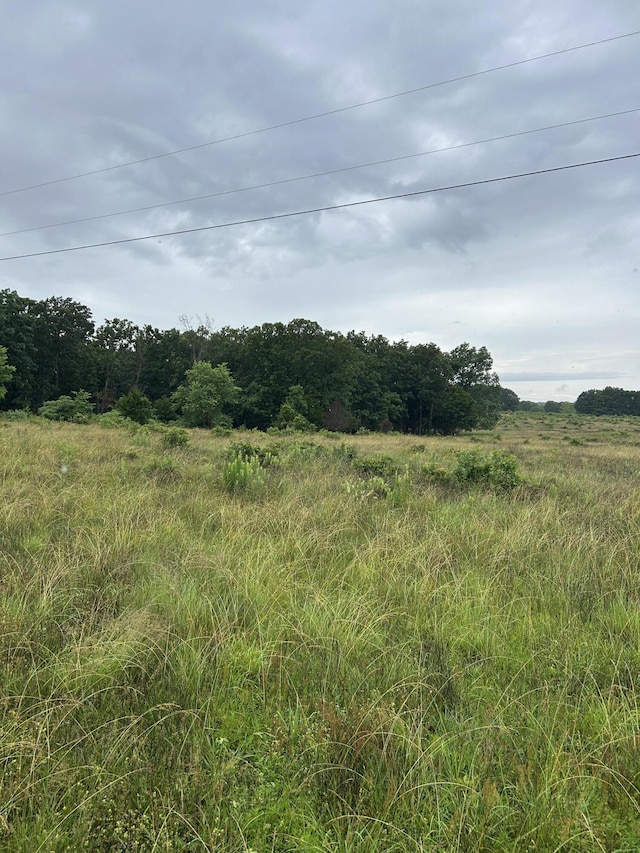 Tbd Se 1325, Weaubleau, MO 65774